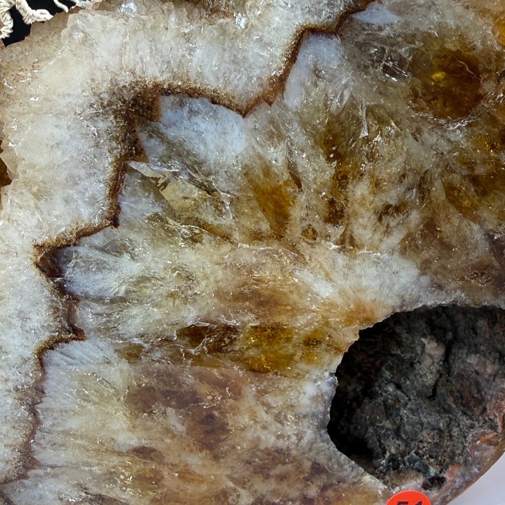 Citrine Cat Carving Extra Large Heat Treated Amethyst Quartz Crystal Animal 51 - Picture 7 of 16